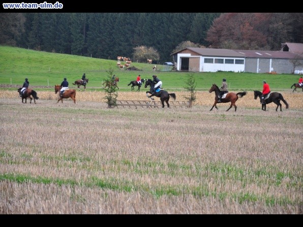 Fuchsjagd @ Jedesheim - Bild 17