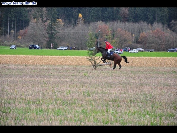 Fuchsjagd @ Jedesheim - Bild 19