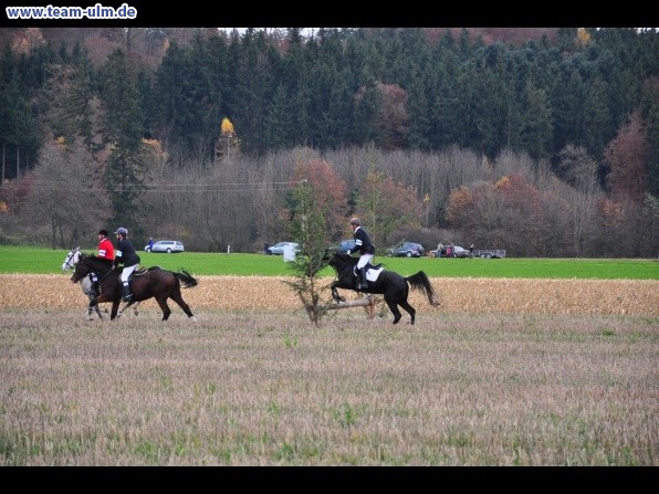 Fuchsjagd @ Jedesheim - Bild 2