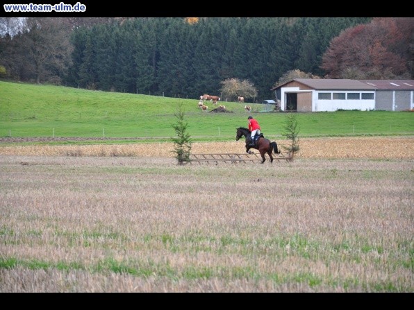 Fuchsjagd @ Jedesheim - Bild 20