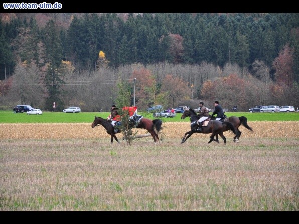 Fuchsjagd @ Jedesheim - Bild 21