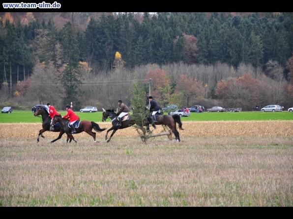 Fuchsjagd @ Jedesheim - Bild 22