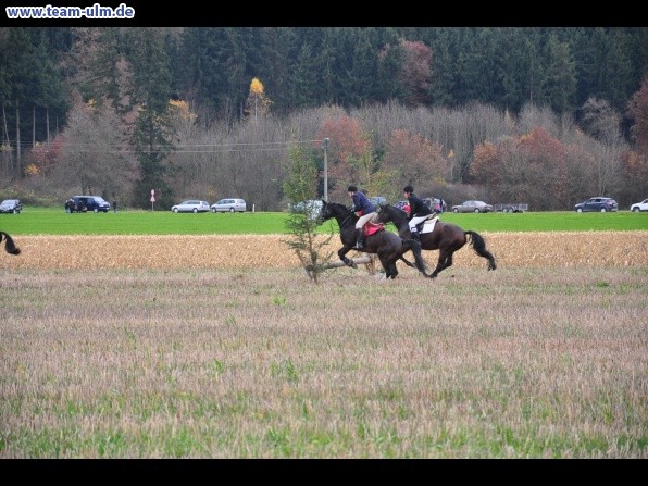 Fuchsjagd @ Jedesheim - Bild 23