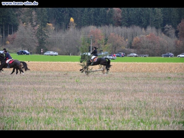 Fuchsjagd @ Jedesheim - Bild 24