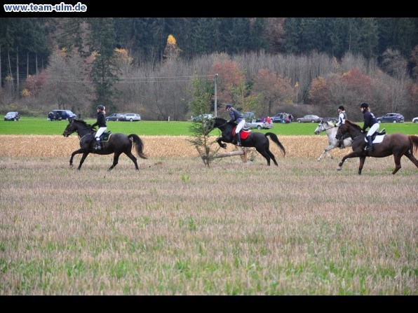 Fuchsjagd @ Jedesheim - Bild 25
