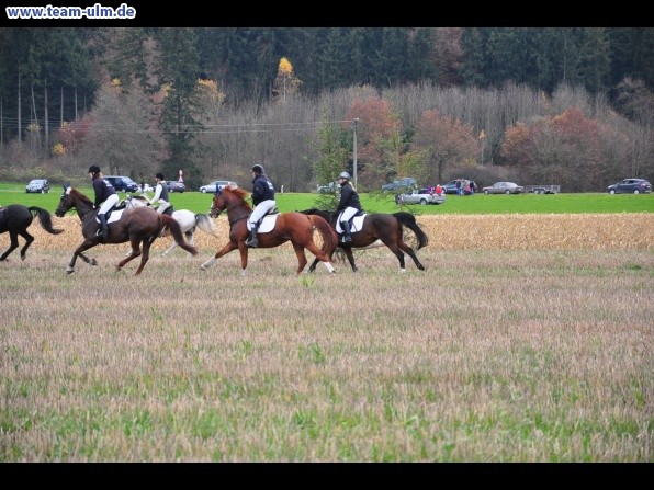 Fuchsjagd @ Jedesheim - Bild 26