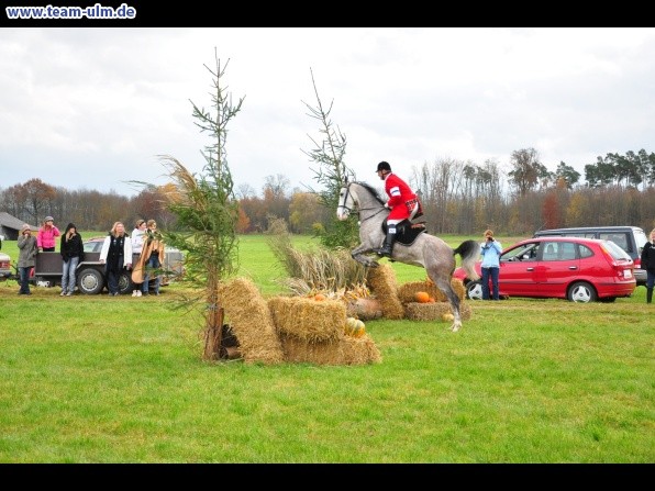 Fuchsjagd @ Jedesheim - Bild 28