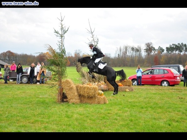 Fuchsjagd @ Jedesheim - Bild 29