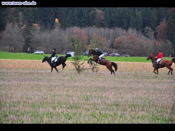 Fuchsjagd @ Jedesheim - Bild 4