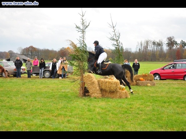 Fuchsjagd @ Jedesheim - Bild 44