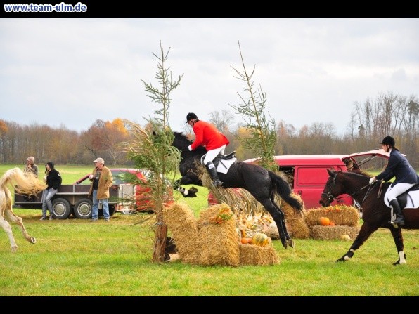 Fuchsjagd @ Jedesheim - Bild 48