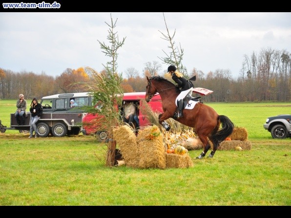 Fuchsjagd @ Jedesheim - Bild 49
