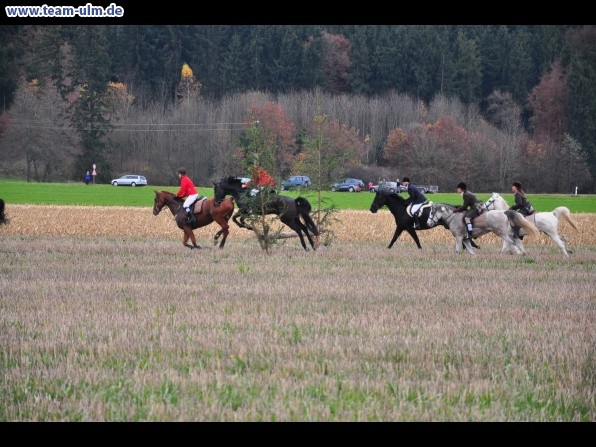 Fuchsjagd @ Jedesheim - Bild 5