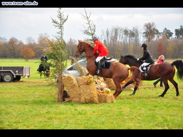 Fuchsjagd @ Jedesheim - Bild 50