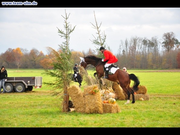 Fuchsjagd @ Jedesheim - Bild 51