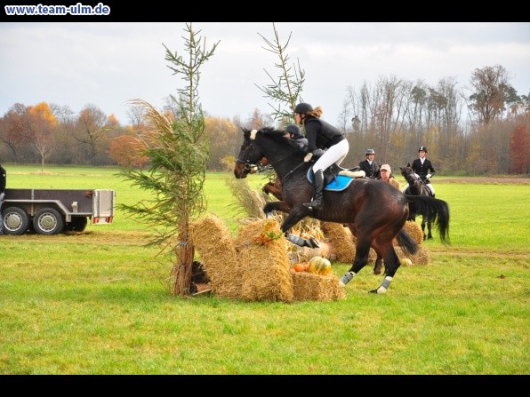 Fuchsjagd @ Jedesheim - Bild 53