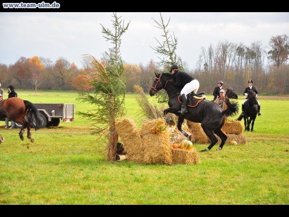 Fuchsjagd @ Jedesheim - Bild 54