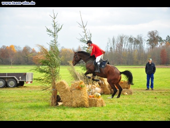 Fuchsjagd @ Jedesheim - Bild 55