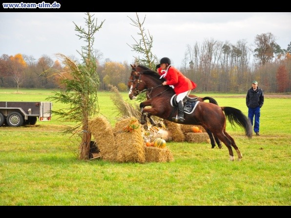 Fuchsjagd @ Jedesheim - Bild 56
