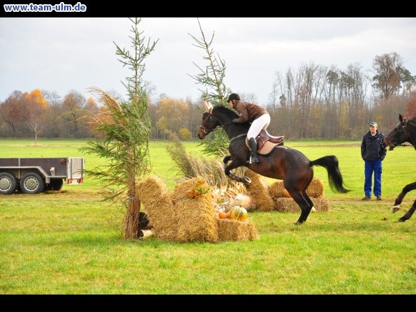 Fuchsjagd @ Jedesheim - Bild 57
