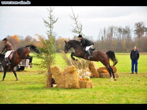 Fuchsjagd @ Jedesheim - Bild 58