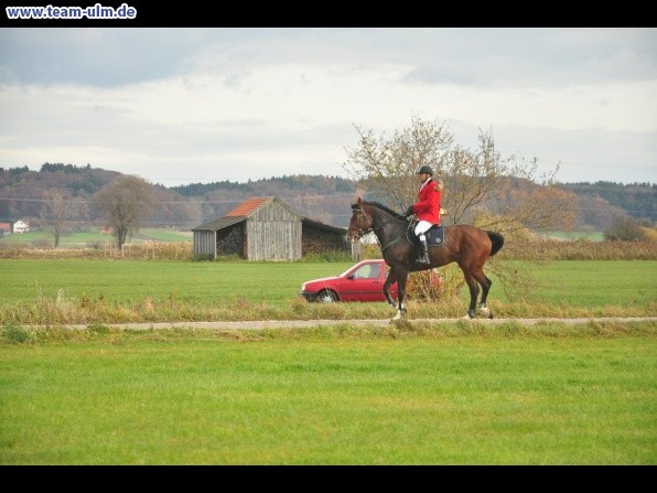 Fuchsjagd @ Jedesheim - Bild 59