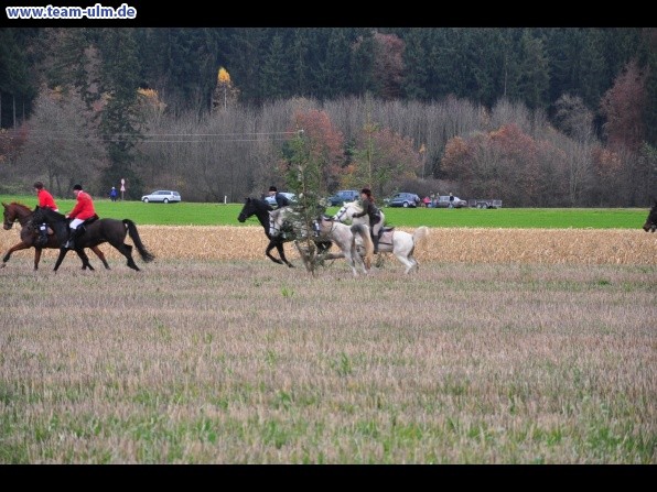 Fuchsjagd @ Jedesheim - Bild 6