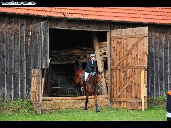 Fuchsjagd @ Jedesheim - Bild 61