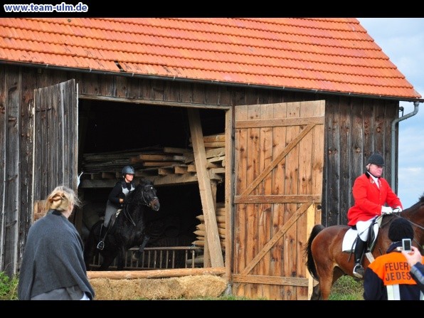 Fuchsjagd @ Jedesheim - Bild 62