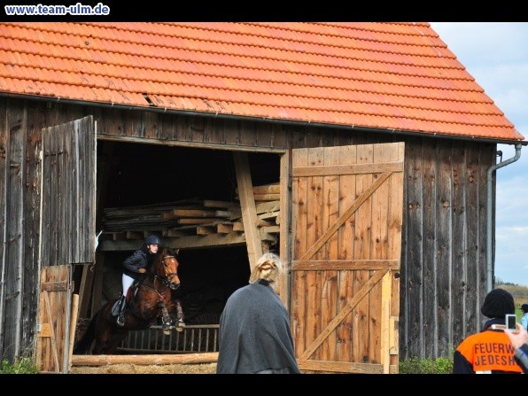 Fuchsjagd @ Jedesheim - Bild 63