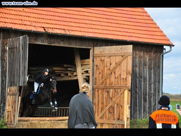 Fuchsjagd @ Jedesheim - Bild 64