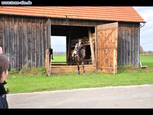 Fuchsjagd @ Jedesheim - Bild 65