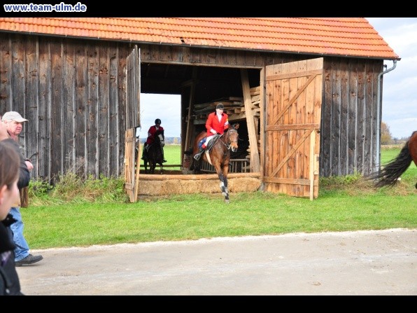 Fuchsjagd @ Jedesheim - Bild 66