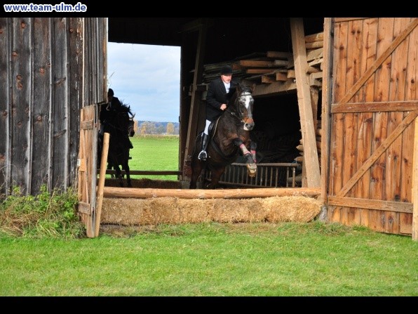 Fuchsjagd @ Jedesheim - Bild 68