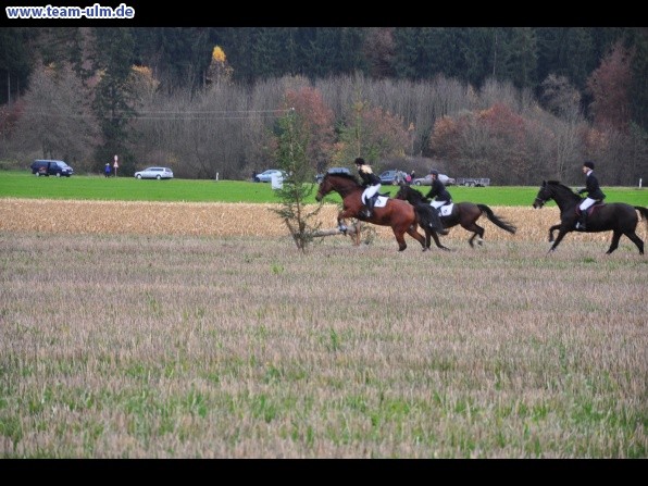 Fuchsjagd @ Jedesheim - Bild 7