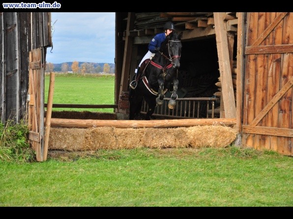 Fuchsjagd @ Jedesheim - Bild 70