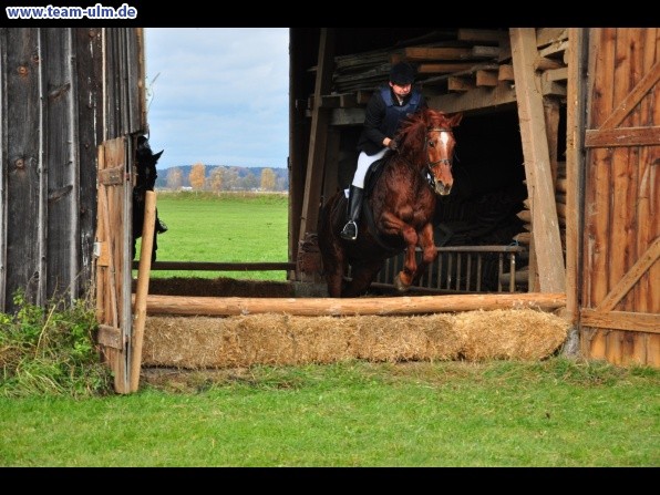 Fuchsjagd @ Jedesheim - Bild 72