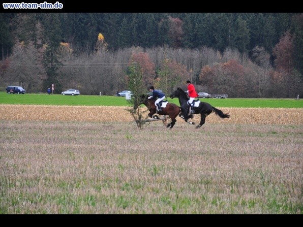 Fuchsjagd @ Jedesheim - Bild 8