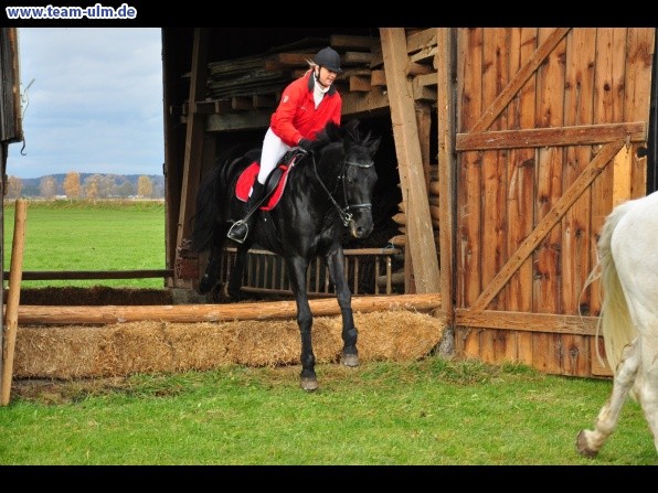 Fuchsjagd @ Jedesheim - Bild 80