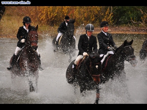 Fuchsjagd @ Jedesheim - Bild 87