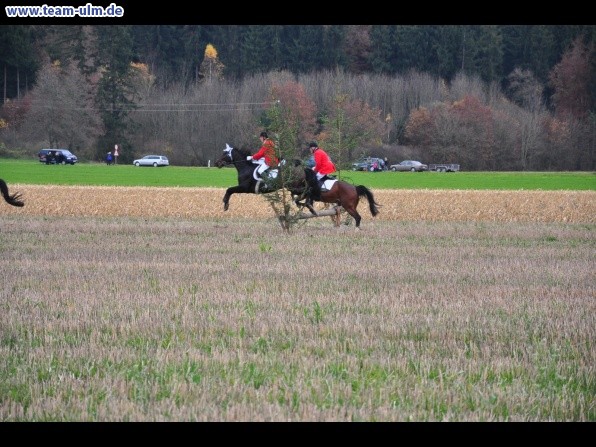 Fuchsjagd @ Jedesheim - Bild 9