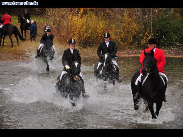 Fuchsjagd @ Jedesheim - Bild 93