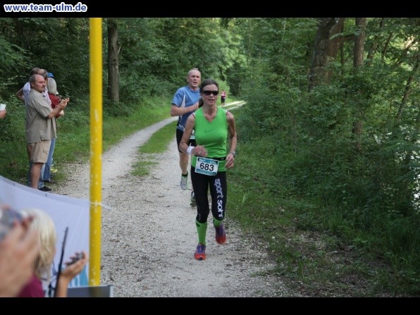 Illerlauf 2012 @ Ludwigsfeld - Bild 179
