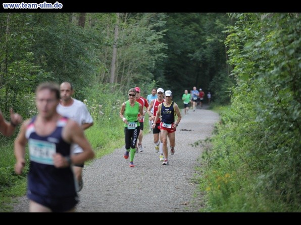 Illerlauf 2012 @ Ludwigsfeld - Bild 48