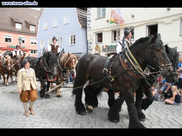 Einzug Wallenstein @ Memmingen - Bild 147