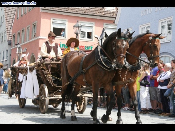 Einzug Wallenstein @ Memmingen - Bild 32