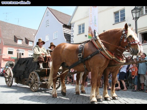 Einzug Wallenstein @ Memmingen - Bild 41