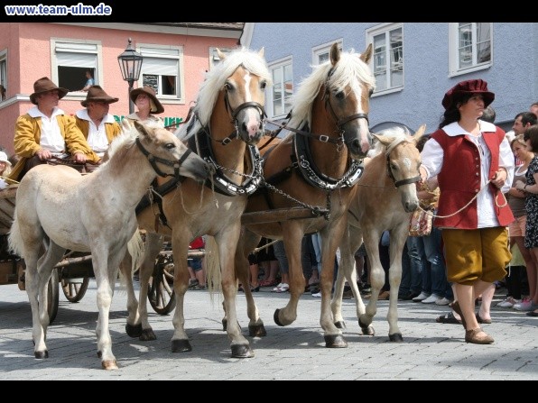 Einzug Wallenstein @ Memmingen - Bild 53