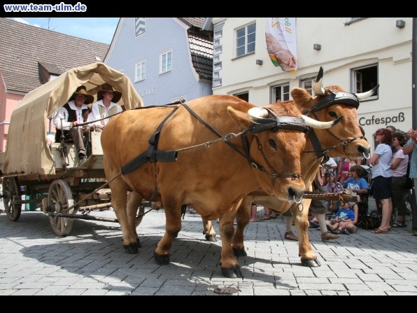 Einzug Wallenstein @ Memmingen - Bild 74