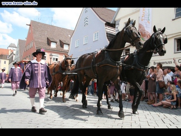 Einzug Wallenstein @ Memmingen - Bild 82